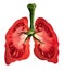Tomatoes And Lung Health