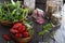 Tomatoes, salad leaves, beans and rice