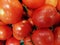 Tomatoes for sale in bulk