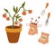 Tomatoes and seeds. Seedlings. Packs of seeds. Fertilizer organic bag. Growing vegetables. Concept of healthy eating, springtime