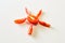 Tomatoes slice on the white isolated background