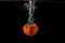 Tomatoes splashing in water on a black background