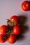 Tomatoes twig on the white background vertical