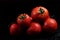 Tomatoes under water drops, red background