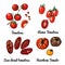 Tomatoes. Vector food icons of vegetables. Colored sketch of food products. Roma tomatoes, sun dried tomatoes, heiloom