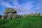 Tomb 7, Carrowmore, on the Knocknarea Peninsula in County Sligo, a site of prehistoric funeral rituals located on the hill,