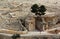 Tomb of Absalom (Absalom\'s Pillar) in Kidron Valley, Jerusalem, Israel