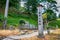 Tomb of Asakura Yoshikage 1548-1573 at Ichijodani Asakura Family Historic Ruins in Fukui City, Fukui