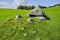 Tomb in the Carrowmore Megalithic Cemetery, County Sligo, Ireland