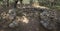 tomb of the giants and menhirs of the archaeological park of Pranu Matteddu in Goni in southern Sardinia