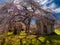 Tomb in Green-Wood Cemetery in Spring