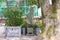 Tomb of Jofuku Xu Fu at Jofuku Park in Shingu, Wakayama, Japan. A park commemorating the Chinese