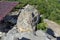 Tomb of Orpheus in Antique Thracian sanctuary Tatul, Kardzhali Region