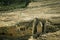 Tomb of Prophet Zechariah, Jerusalem