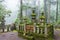 Tomb of Takeda Shingen and Takeda Katsuyori at Okunoin Cemetery in Koya, Wakayama, Japan. Mount