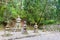 Tomb of Toyotomi Hideyoshi Toyotomi Family at Okunoin Cemetery at Mount Koya in Koya, Wakayama,