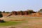 Tombs of the Queens also known as Acropolis of Ahmedabad. Sarkehj Roza, Ahmedabad, Gujarat