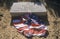 Tombstone and American Flag at the Cemetery, Fort Defiance, Arizona