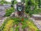 Tombstone on the grave carved from a large stone with flowers attached to it and planted next to the green shoots.