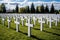 Tombstone grave memory war graveyard monument army military beach france cemetery american