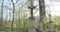 Tombstone and graves in an ancient church graveyard. old tombstones in the old cemetery. headstones in the foreground