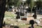 Tombstone and graves in an ancient Muslim graveyard.