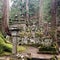 Tombstones in an ancient japanese graveyard
