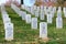 Tombstones at Arlington National Cemetery