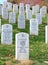Tombstones at Arlington National Cemetery