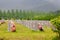 Tombstones at Daejeon National Cemetery, South Korea, 25 may 2016