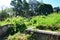 Tombstones On Grassy Field In Cemetery Against Sky