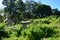 Tombstones On Grassy Field In Cemetery Against Sky