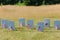 Tombstones on green grass near american flags