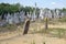 Tombstones in the jewish cemetery