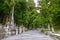 Tombstones at Okunoin Cemetery