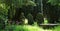 Tombstones, old, in shaded country cemetery.