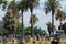 Tombstones and palm trees in the Evergreen Cemetery of Los Angeles