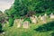 Tombstones at Sleepy Hollow Cemetary on a beautiful sunny day, in Upstate New York