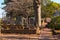 Tombstones, trees and footpath on Oakland Cemetery, Atlanta, USA