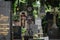 Tombstones at the Vysehrad cemetery in Prague