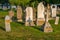 Tombtones in Hillcrest Cemetery, Lunenburg, Canada