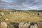 Tomnaverie Stone Circle in Scotland.