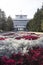 Tomsk Region Administration building. Square with flowers in front of the administration of the Tomsk region.