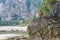 Ton Sai Beach Railay Peninsula: young Thai traveler sits on embossed rock with high rocky cliffs and line of coconut trees