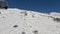 Tonale, Ponte di Legno, Italy. Chairlift with skiers moving to the top of the ski run in a wonderful sunny day