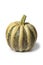 Tonda Padana pumpkin