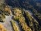 Tone river know as Zlatnite Mostove at Vitosha Mountain, Bulgaria