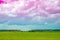 Toned Background Cloudscape 4k Time Lapse. Colorful Clouds Above Grassland. Sky Background. 4k Light Magenta Toned Sky