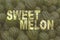 Toned image of a bunch of large striped watermelons with text: sweet melon