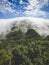 Toned image of clouds flowing down the forest on mountain slope